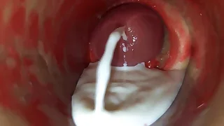 Sex Gay Porn 20